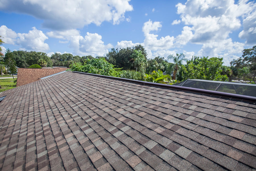 Timeline for new shingle roof